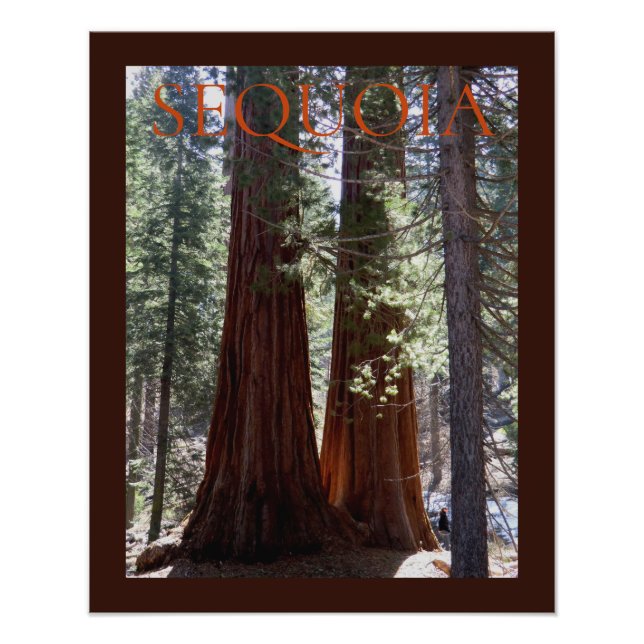 Sequoia/Kings Canyon Poster (Vorne)