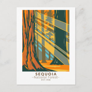 Sequoia National Forest Kalifornien Vintage Postkarte