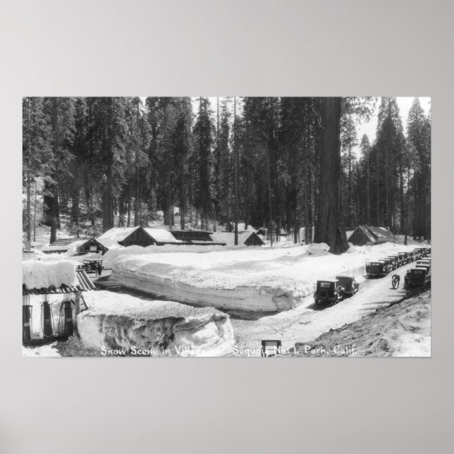 Sequoia National Park Snow Scene in Village Poster (Vorne)