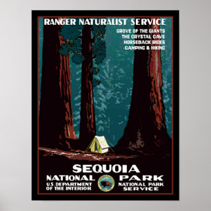 Sequoia National Park Travel Poster