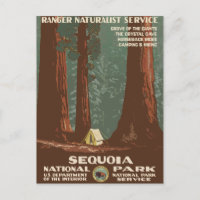 Sequoia National Park Vintage Travel Poster