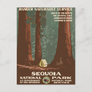Sequoia National Park Vintage Travel Poster Postkarte