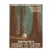 Sequoia National Park Vintage Travel Poster