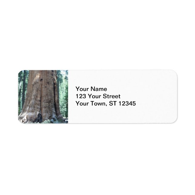 Sequoia-Nationalpark (Vorne)