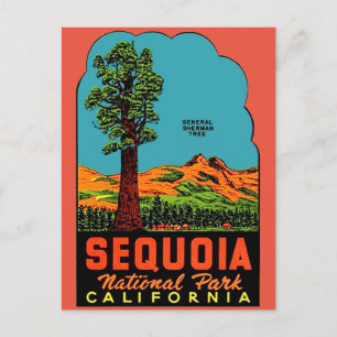 Sequoia Nationalpark California Postkarte