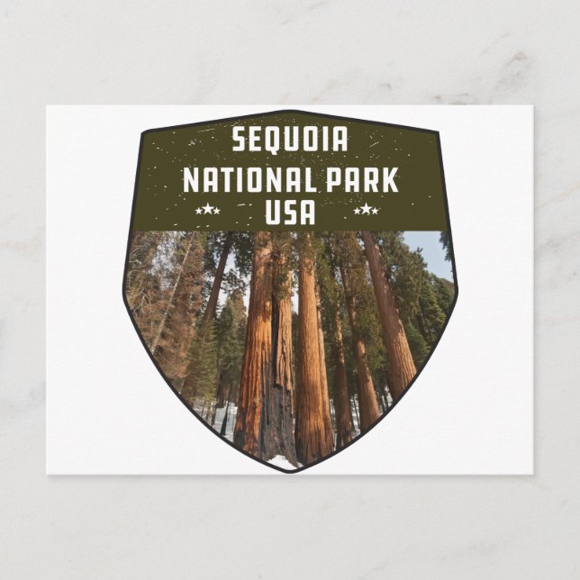 Sequoia Nationalpark California Postkarte (Vorderseite)