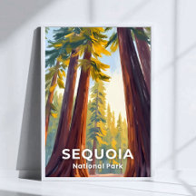 Sequoia-Nationalpark | California Travel
