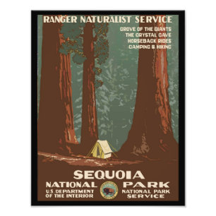 Sequoia-Nationalpark Fotodruck