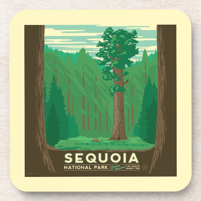Sequoia-Nationalpark Getränkeuntersetzer (Vorderseite)