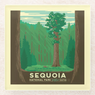 Sequoia-Nationalpark Glasuntersetzer