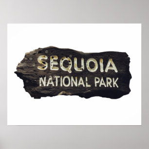 Sequoia Nationalpark Holzschild Poster