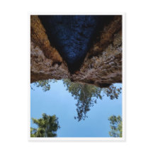 Sequoia-Nationalpark: Hundetage