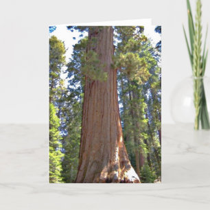 Sequoia-Nationalpark Karte
