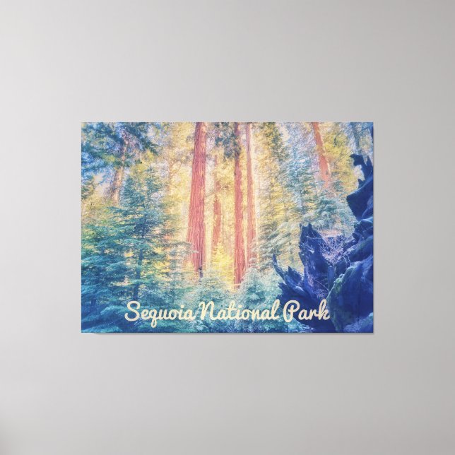 Sequoia-Nationalpark Leinwanddruck (Vorderseite)