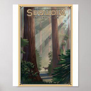 Sequoia Nationalpark Litho Artwork Poster