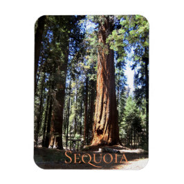 Sequoia-Nationalpark Magnet