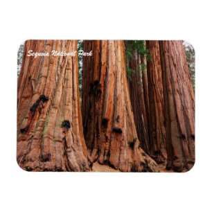 Sequoia-Nationalpark Magnet