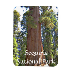 Sequoia-Nationalpark Magnet