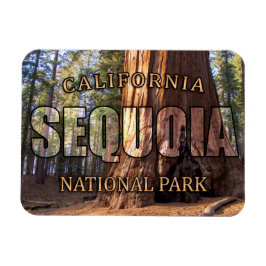 Sequoia Nationalpark Magnet