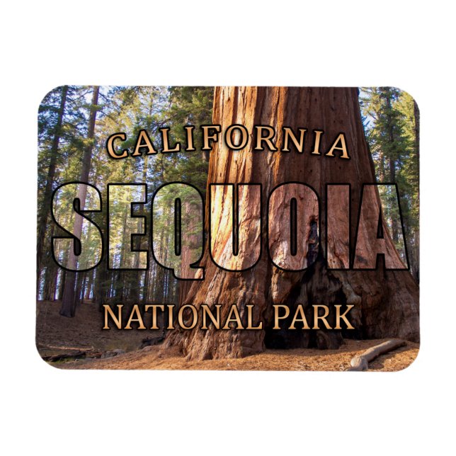 Sequoia Nationalpark Magnet (Horizontal)