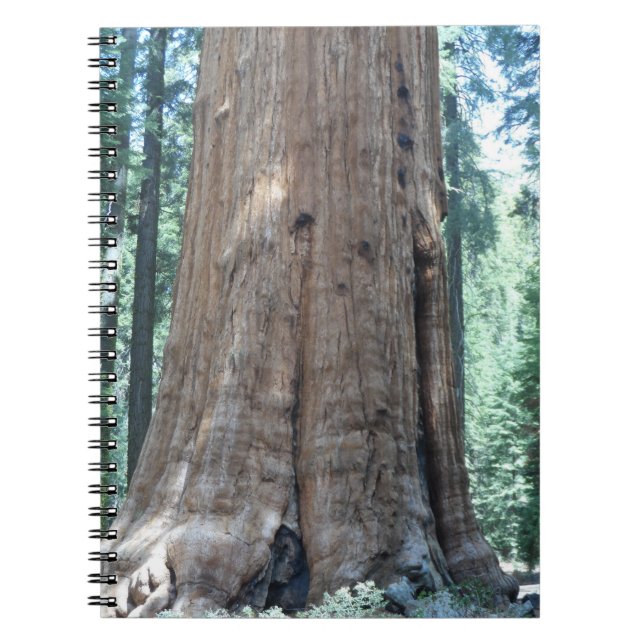 Sequoia-Nationalpark Notizblock (Vorderseite)