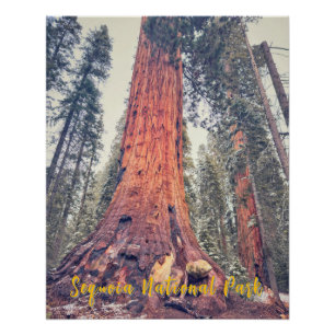 Sequoia-Nationalpark Poster