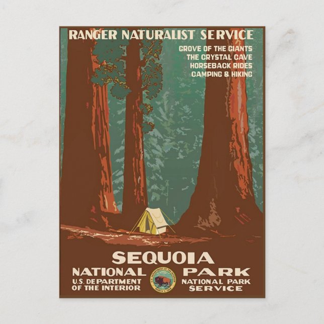 Sequoia-Nationalpark Postkarte (Vorderseite)
