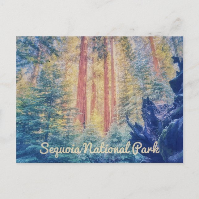 Sequoia-Nationalpark Postkarte (Vorderseite)