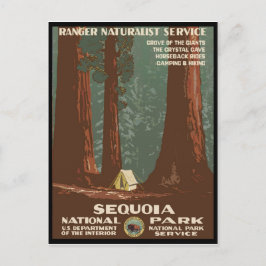 Sequoia-Nationalpark Postkarte