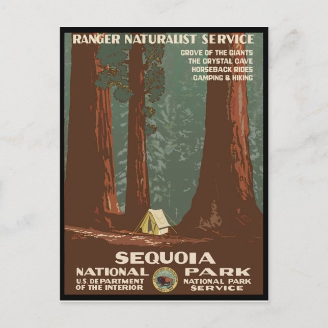 Sequoia-Nationalpark Postkarte (Vorderseite)