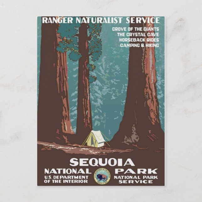 Sequoia-Nationalpark Postkarte (Vorderseite)