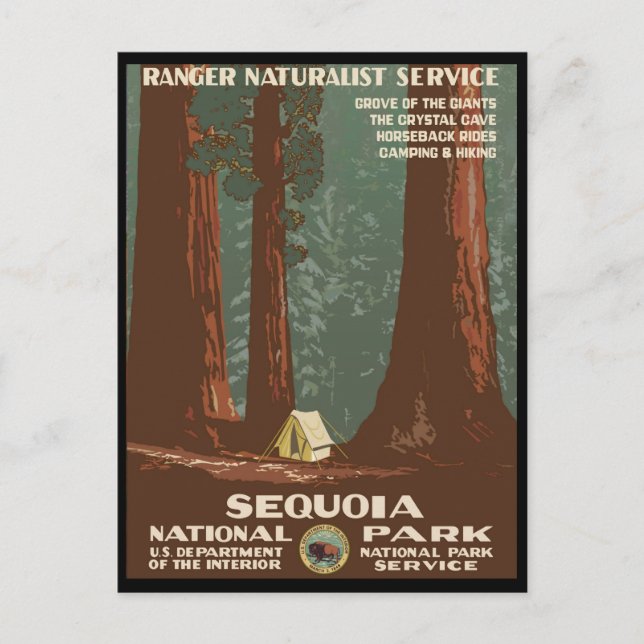 Sequoia-Nationalpark Postkarte (Vorderseite)