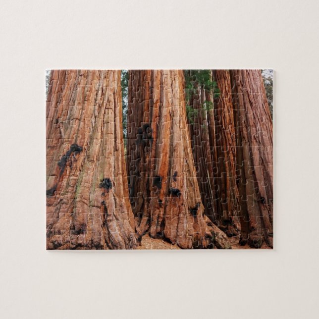 Sequoia-Nationalpark Puzzle (Horizontal)