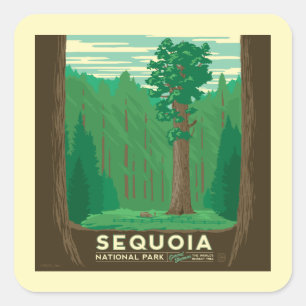 Sequoia-Nationalpark Quadratischer Aufkleber