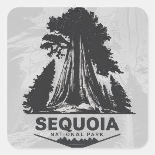 Sequoia-Nationalpark Quadratischer Aufkleber