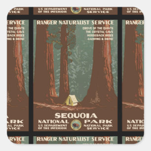 Sequoia-Nationalpark Quadratischer Aufkleber