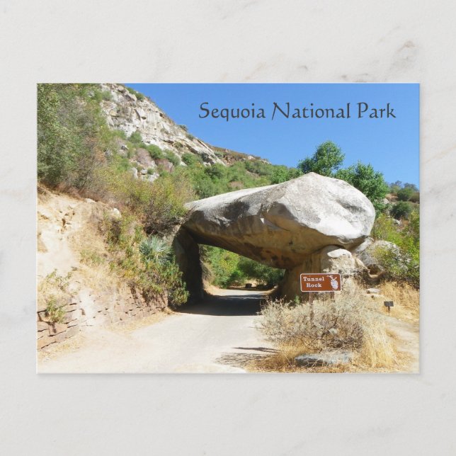 Sequoia Nationalpark/Tunnel Rock Postcard! Postkarte (Vorderseite)