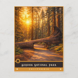 Sequoia-Nationalpark Vintage Postkarte