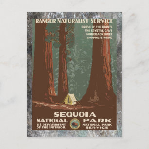 Sequoia-Nationalpark Vintage Reise Postkarte