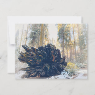 Sequoia-Nationalpark Winterwald Postkarte