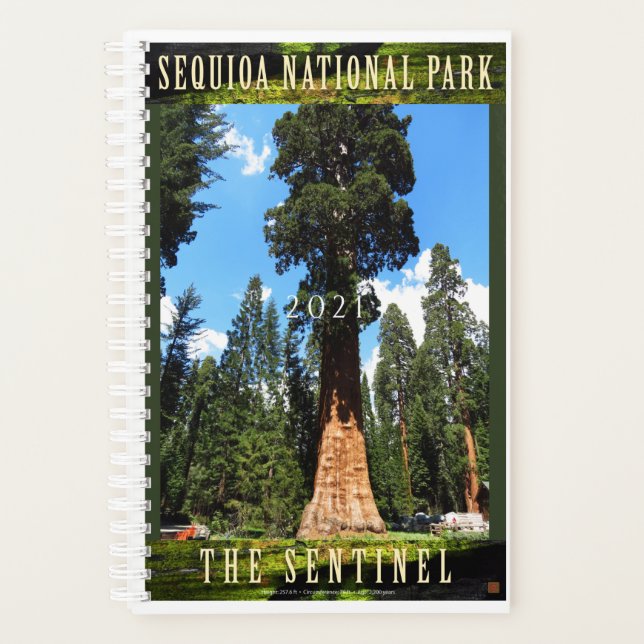 SEQUOIA NAT'L PARK-California-The Sentinel- Planer (Vorderseite)