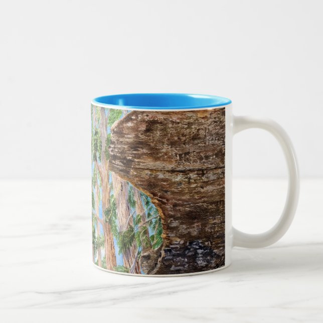 Sequoia Redwoods Zweifarbige Tasse (Rechts)