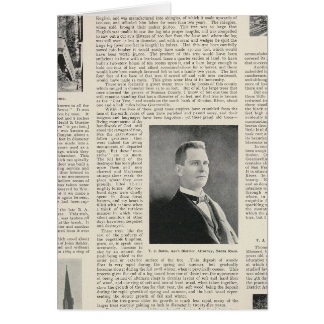 Sequoia Sonoma, Kalifornien (Vorne)