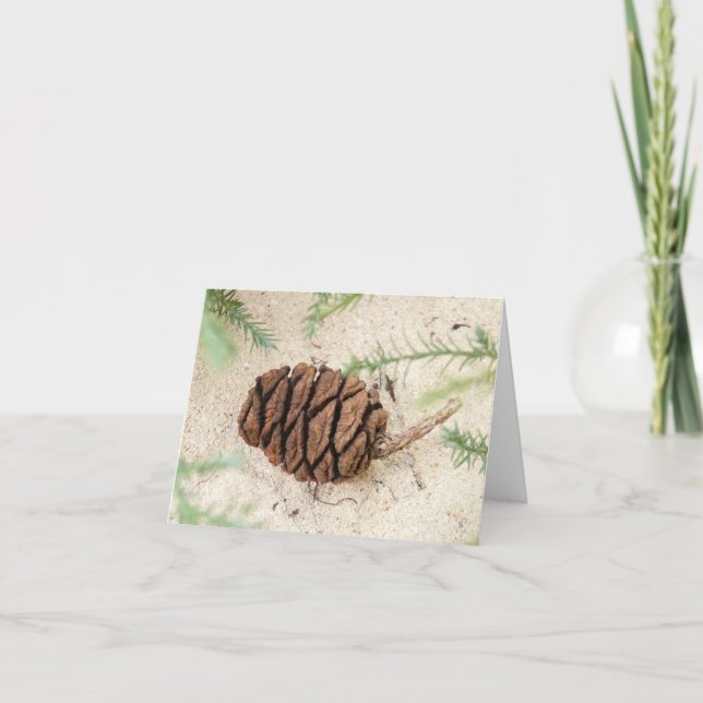 Sequoia Tree Cone auf Sandgrund Karte (Vorderseite)