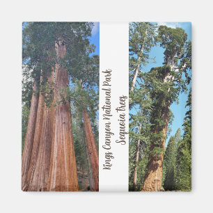 Sequoia Trees Magnet