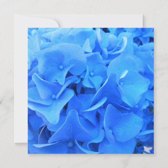 Seraphine (Vorderseite)