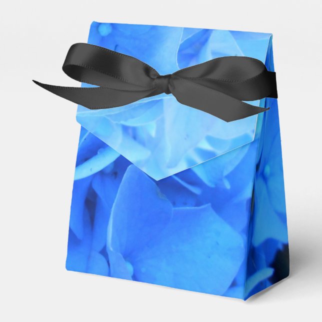 Seraphine Geschenkschachtel (Vorderseite)