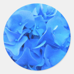 Seraphine Runder Aufkleber