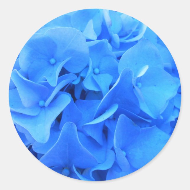 Seraphine Runder Aufkleber (Vorderseite)