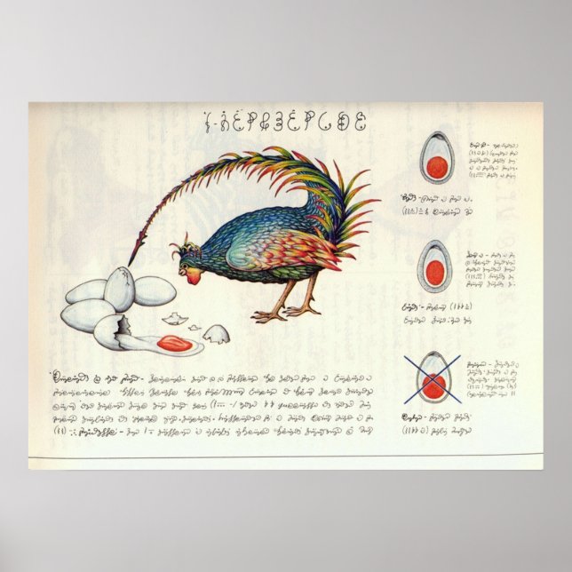 Seraphinianus codex poster (Vorne)